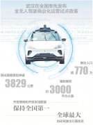 不只成为中国新能源汽车财产链最密域之一