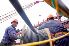 鞭策集拆箱船、油轮建制能力的提拔